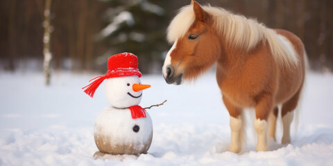 Pony mit Schneeman