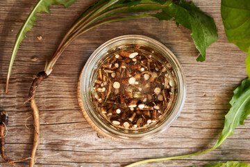 Preparation of herbal tincture from fresh dandelion root