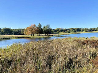 A view of the Cheshire Countryside near Knutsford on a sunny Autumn day