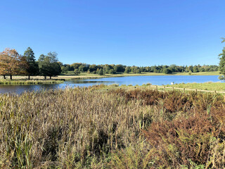 A view of the Cheshire Countryside near Knutsford on a sunny Autumn day