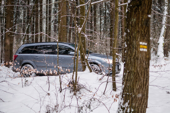 Gray Opel Astra car in winter in the snow in the forest and on snowy forest roads.
