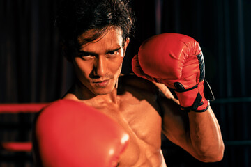 Muay Thai boxer punch his fist in front of camera in ready to fight stance posing at gym with...