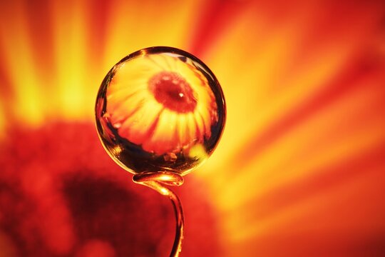 abstract macro art photography