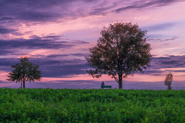 View for autumn landscape in color hot evening near Roprachtice village