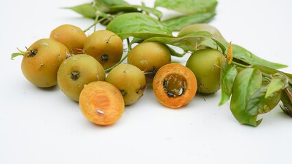 Frutas, sementes e folhas do ora-pro-nóbis, trepadeira, familia Cactaceae