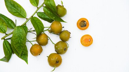 Frutas, sementes e folhas do ora-pro-nóbis, trepadeira, familia Cactaceae