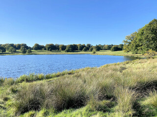 A view of the Cheshire Countryside near Knutsford on a sunny Autumn day
