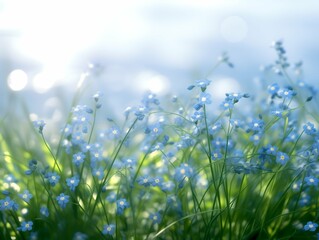 Obraz premium background wallpapers with green grass with small blue forget-me-nots flowers