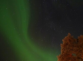 A wonderful night northern lights flying over the Nortrh of Sweden
