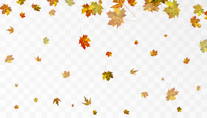 Realistic falling autumn leaves. Autumn flying orange foliage on transparent background, isolated vector illustration overlay effect.