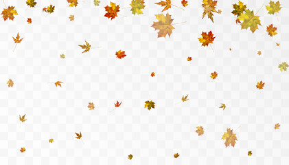 Realistic falling autumn leaves. Autumn flying orange foliage on transparent background, isolated vector illustration overlay effect.