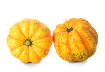 Fresh pumpkins on white background