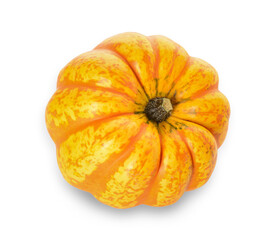 Fresh pumpkin on white background