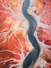 aerial view, river as a vein of the Earth, satellite imagery, infrared palette