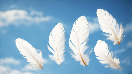 soft focus. A white fluffy bird feather on a blue sky background. The texture of a delicate feather.