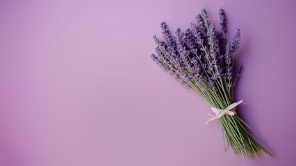 Close-up of lavender flowers on a solid lilac background matching the flowers' tone.