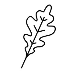 Obraz premium Isolated outline of an autumn leaf icon Vector