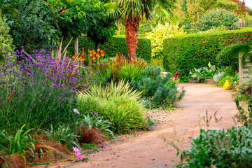 Autumn flowers in English country garden