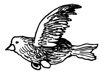 Raven Jackdaw Bird Sparrow Parrot Funny Print Stamp Tattoo