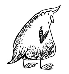 Raven Jackdaw Bird Sparrow Parrot Funny Print Stamp Tattoo