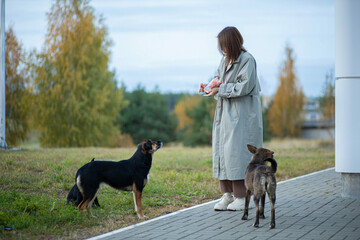 young woman feeding stray dogs in nature