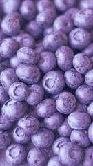 Ripe and juicy fresh hand-picked blueberries close up.