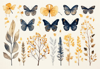 Kolekcja ziół i motyli namalowanych akwarelą