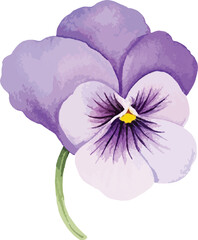 Vibrant Watercolor Pansy Flower Vector Illustration - Botanical Art