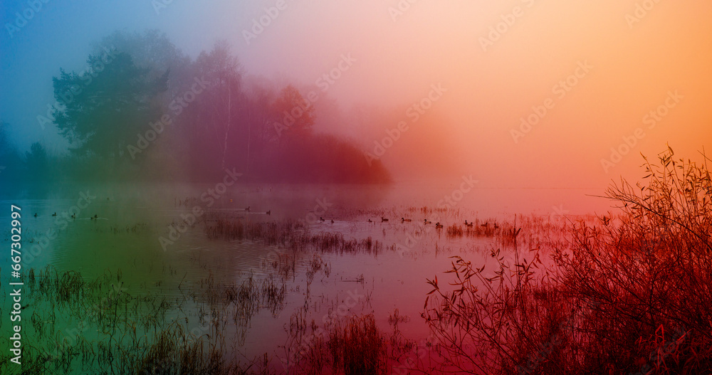 Poster autumn landscape with lake and trees in fog