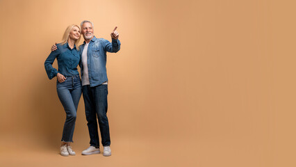 Happy senior man and woman pointing at copy space