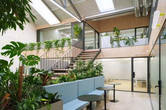 Green interior in Madrid coworking space