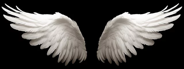Fotobehang White angel or bird wings on black background © grape_vein