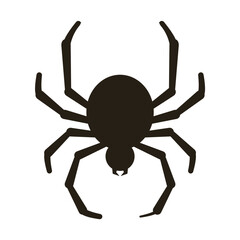 Isolated cute spider Halloween season Vector