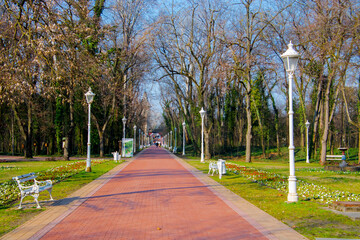 Fototapeta premium Outdoor in Palic on a sunny day in Serbia