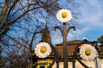 Flowers on the fence of a garden in Palic