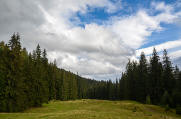 Fototapeta na wymiar Mountain tops with forests on green grassy slopes with blue sky and clouds above. Gorgeous view on Carpathian valley 