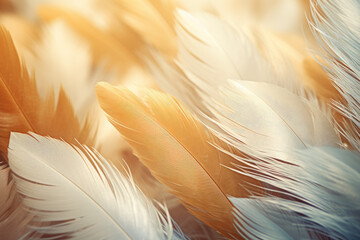 A gentle feather texture background