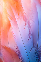 A gentle feather texture background