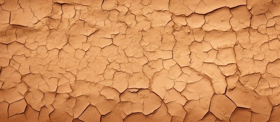 Cracked earth symbolizing climate change and desertification Texture - obrazy, fototapety, plakaty
