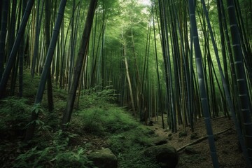 View of dense bamboo forest. Generative AI