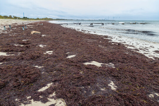 Beach after flood storm in Vallensbaek Denmark 20 October 2023 Koge bugt,
