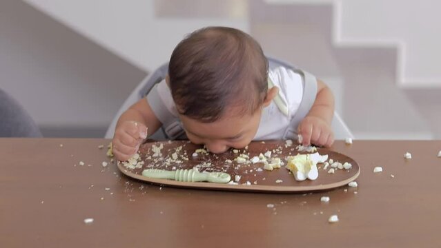 baby eating directly from the plate sitting at a table. baby led weaning concept.