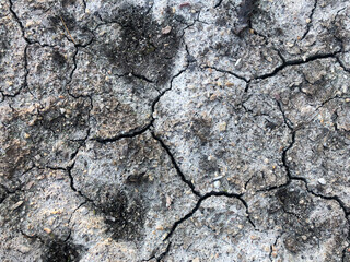 dry cracked soil
