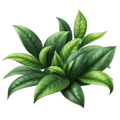 Serene Green Tea Leaf Macro Photography, GENERATIVE AI