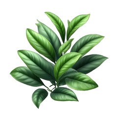 Wholesome Green Tea Leaf Focus, GENERATIVE AI