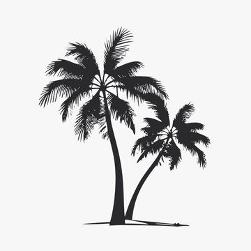 two palm trees silhouettes