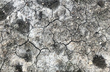 texture of dry soil