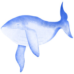Whale on white background
