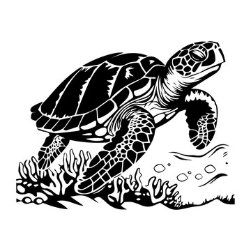 sea turtle with coral reefs and seaweeds vector,Black and white hand-drawn graphics translated into vector illustration, ai generated.