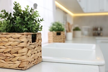 Beautiful potted artificial plant on countertop in kitchen, space for text. Home decor